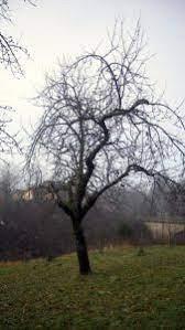 OB 180 LETNICI ROJSTVA MOŽA 1